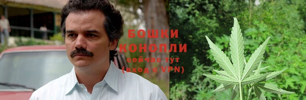 COCAINE Богородицк