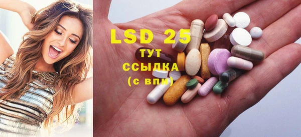 спайс Богданович