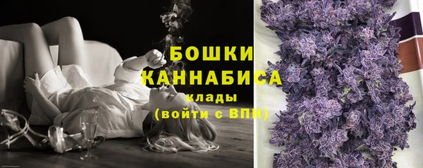 спайс Богданович