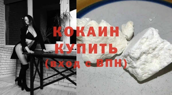 спайс Богданович