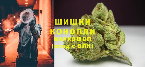 спайс Богданович