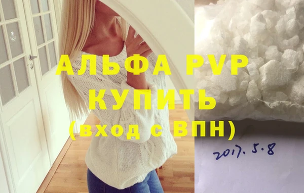 спайс Богданович