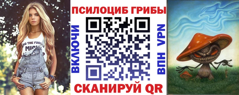 Псилоцибиновые грибы прущие грибы  Гаврилов-Ям 